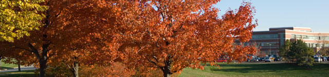 the american center business park developed land